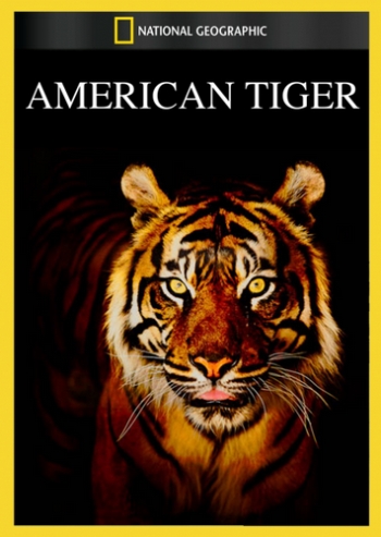 Тигр в бегах / Tiger on the Run (2015)