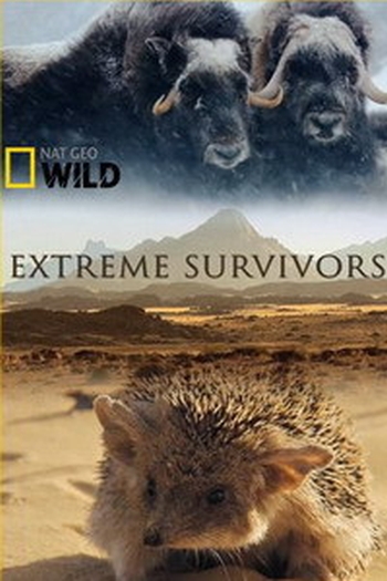 Выжить несмотря ни на что / Extreme Survivors (2014)