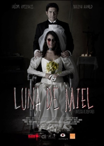 Медовый месяц / Luna de miel (2015)