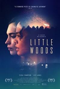 Фильм Лесок / Little Woods (2019)