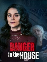Опасность в доме / Danger in the House (2022)